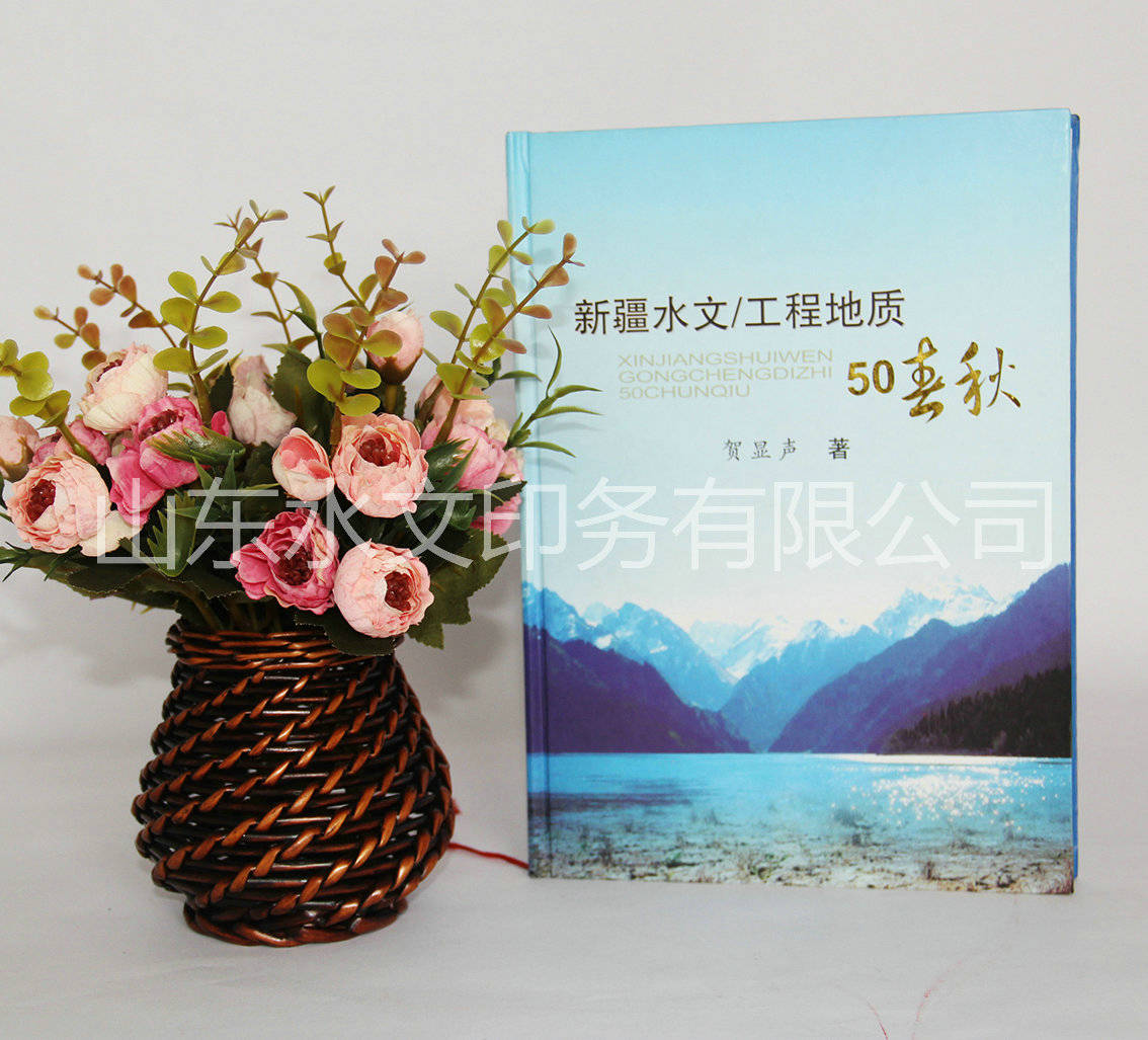 行業統計年鑒印刷